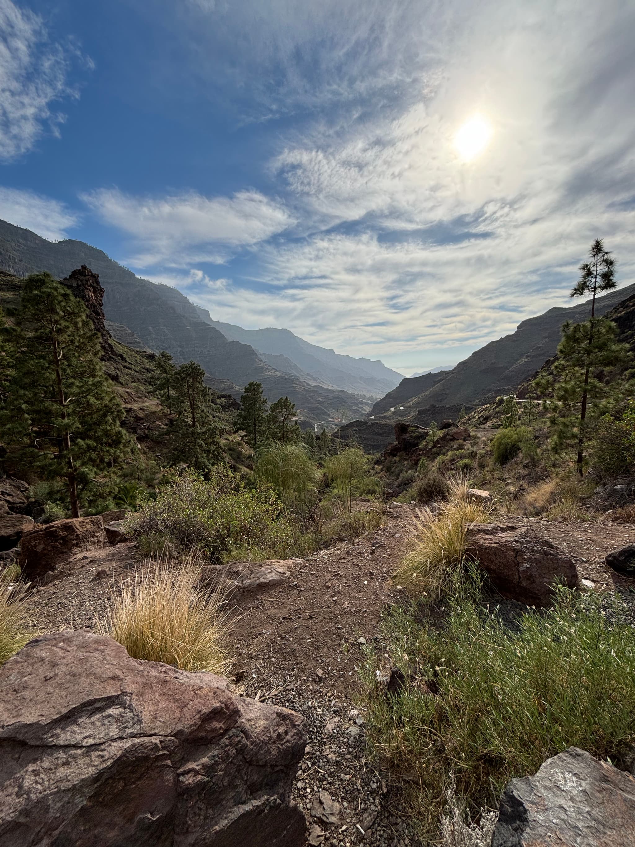 Panoramic shot of the Barranco de Arguineguín valley.